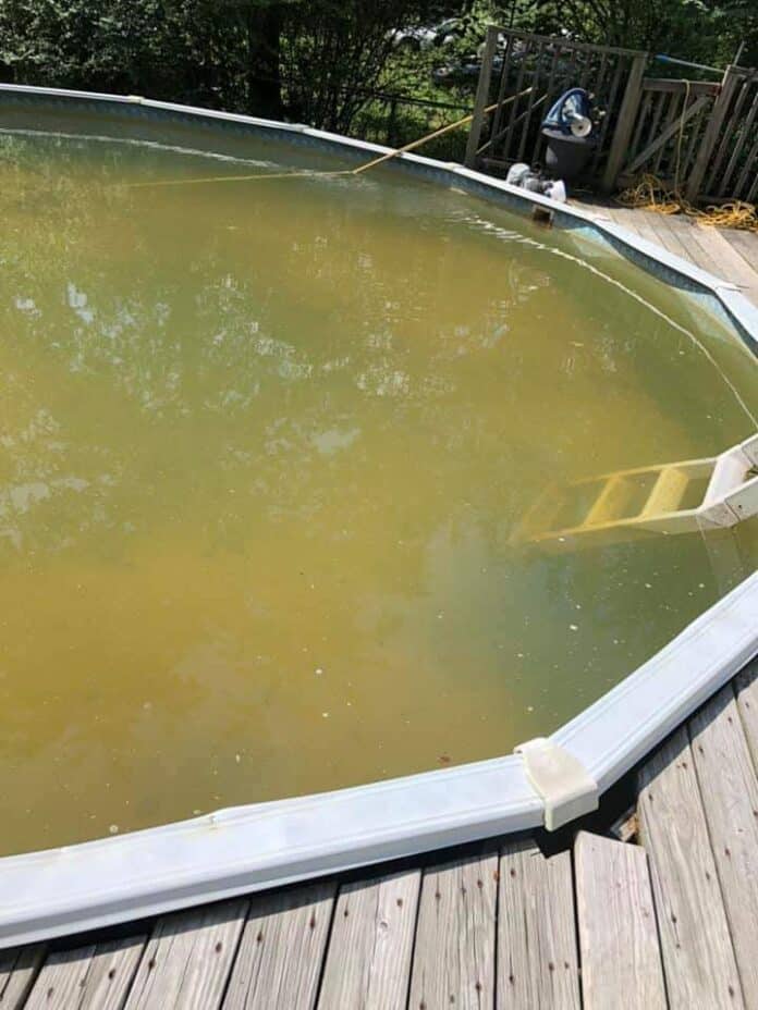 Leave a Reply Cancel reply