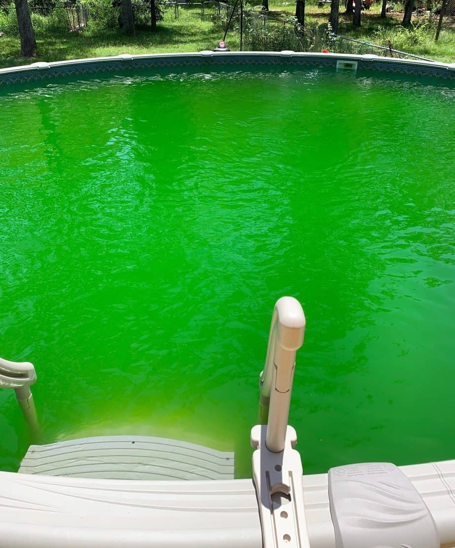 rain turned my pool green