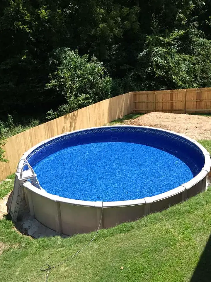 can a dog swim in an above ground pool