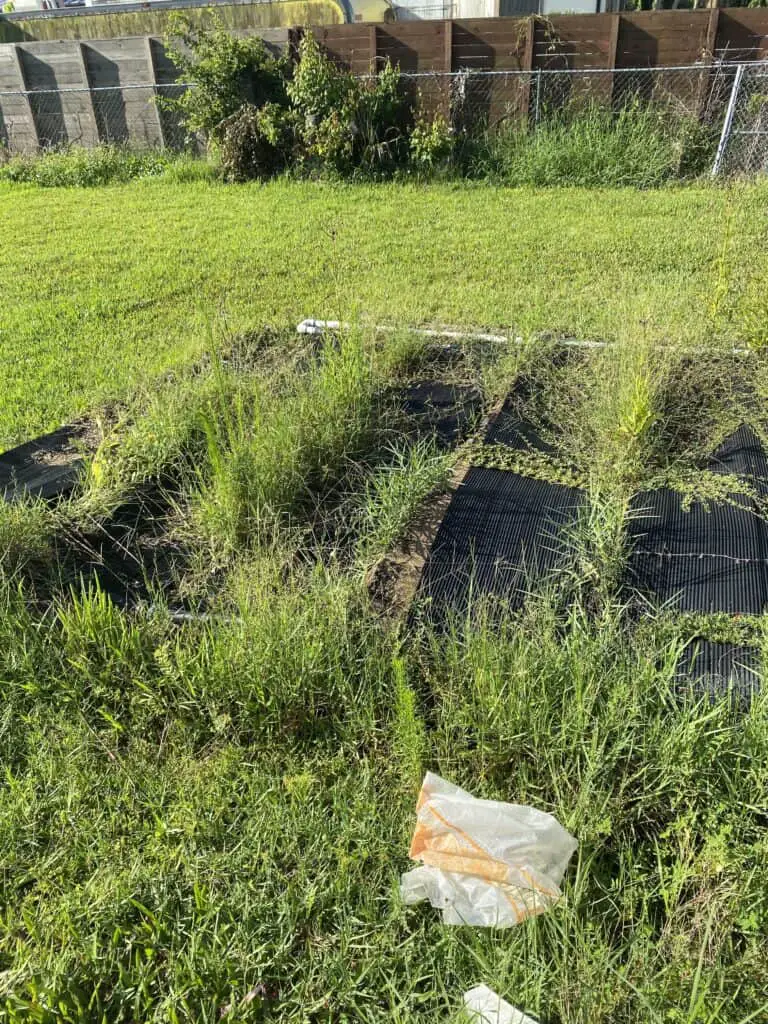 Grass grown over above ground pool solar panels