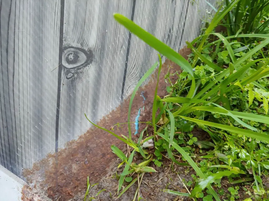 Rust on very bottom of above ground pool wall. Rust is splitting the wall.