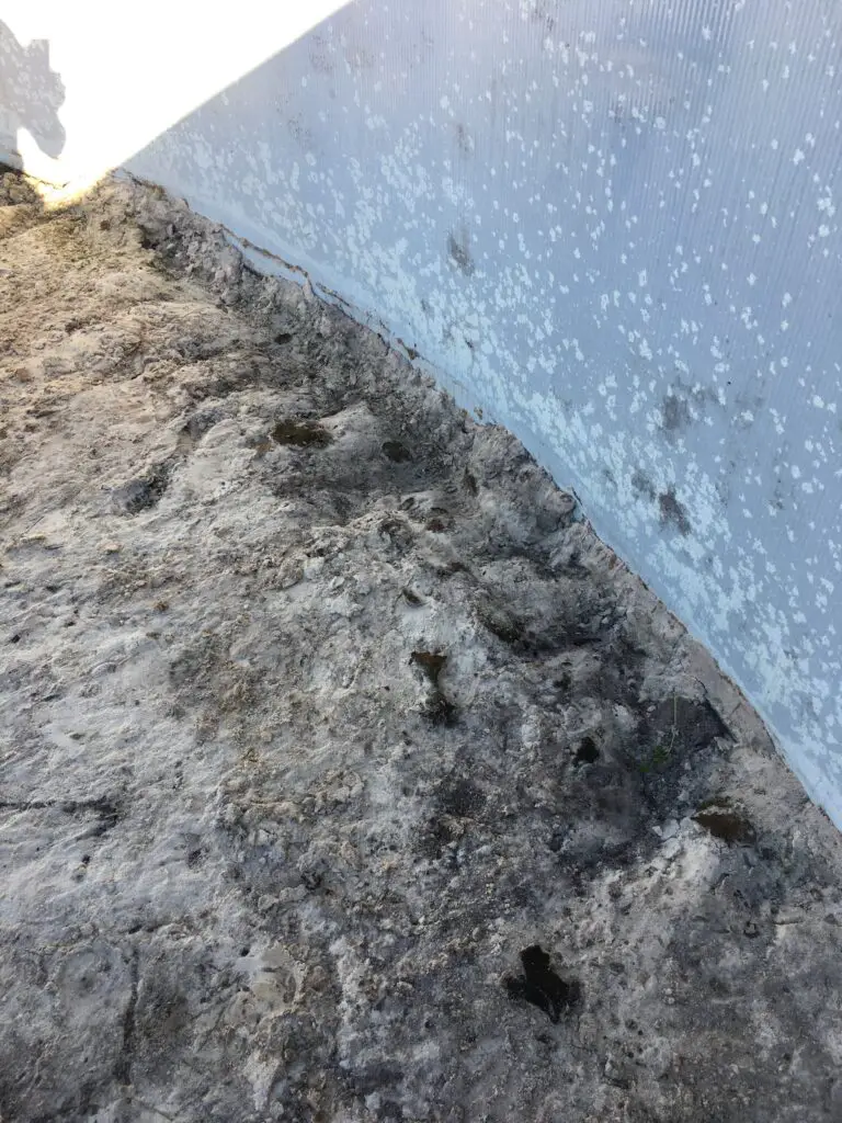 Damage caused by moles under an above ground swimming pool