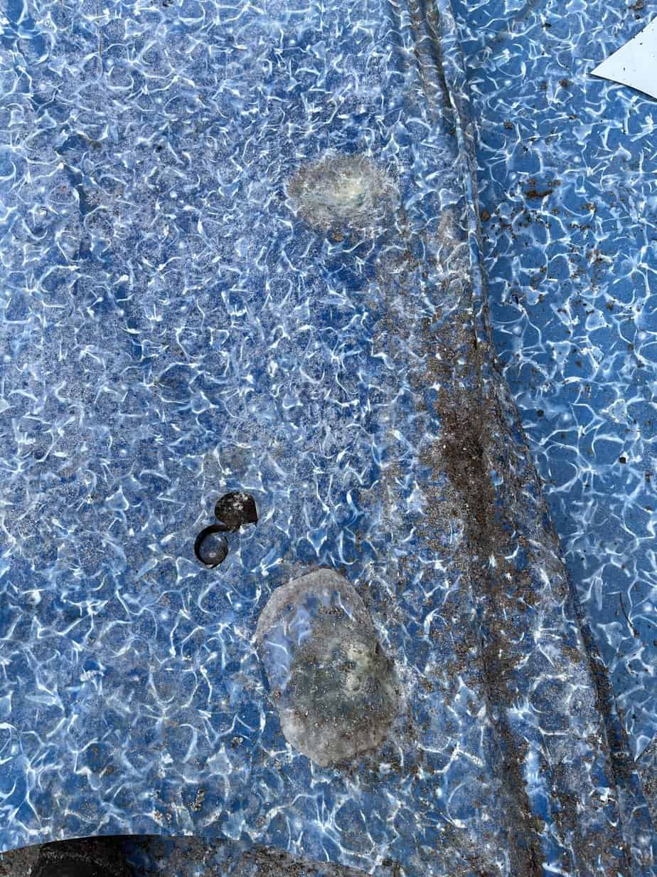 Leave a Reply Cancel reply